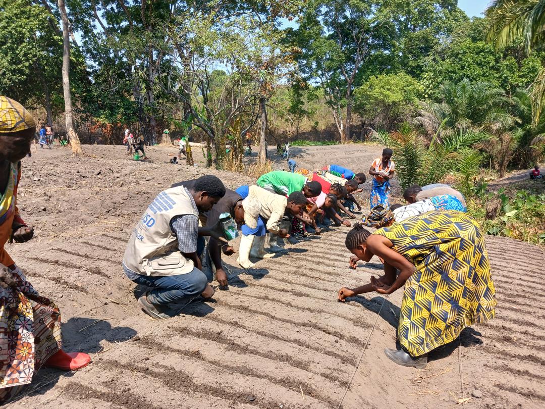 OFFRE D'EMPLOI : MONITEURS AGRICOLES